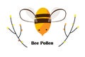 Cute Cartoon Bee, Tree Branches, and Bee Pollen grains with space for text. Beekeeping Logo or Honey Packaging design