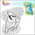 cartoon bird blue jay, coloring book Royalty Free Stock Photo