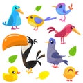 Cute cartoon birds collection. Cartoon set of colorful birds. Vector illustration Royalty Free Stock Photo