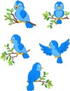 Cute cartoon birds