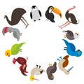 Cute Cartoon birds set - gannet penguin ostrich toucan parrot eagle booby cock, round frame on white background, card design