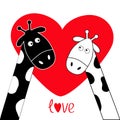 Cute cartoon black white giraffe boy and girl Big red heart. Camelopard couple on date. Funny character set. Long neck. . Happy fa Royalty Free Stock Photo