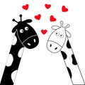 Cute cartoon black white giraffe boy and girl. Camelopard couple on date. Long neck. Funny character set. Happy family. Love greet