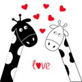 Cute cartoon black white giraffe boy and girl. Camelopard couple on date. Long neck. Funny character set. Happy family. Word Love