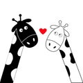Cute cartoon black white giraffe boy and girl heart. Camelopard couple on date. Funny character set. Long neck. . Happy family. Lo Royalty Free Stock Photo