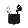 Cute cartoon black white giraffe in the pocket Boy girl couple. Camelopard on date. Long neck. Funny character set. Happy family.