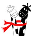 Cute cartoon black white giraffe wearing red scarf. Boy girl couple. Camelopard on date. Long neck. Funny character set. Happy