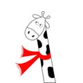 Cute cartoon black white giraffe wearing red scarf. Camelopard with long neck. Funny character. Happy animal. Flat design. Isolate Royalty Free Stock Photo