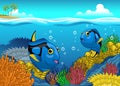 Cute Cartoon Blue Tang Fish Swim in the Coral Reef Royalty Free Stock Photo