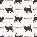 Cute cartoon Bombay cat with text seamless vector pattern. Pedigree kitty breed domestic cat background. Cat lover black