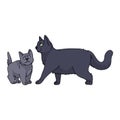Cute cartoon British shorthair cat and kitten vector clipart. Pedigree kitty breed for cat lovers. Purebred domestic