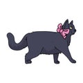 Cute Cartoon British Shorthair Cat With Pink Bow Vector Clipart. Pedigree Kitty Breed For Cat Lovers. Purebred Domestic