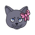 Cute Cartoon British Shorthair Kitten Face With Pink Bow Vector Clipart. Pedigree Kitty Breed For Cat Lovers. Purebred