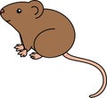 Cute cartoon brown house mouse on white background