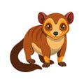 Cute cartoon brown lemur illustration on white background Royalty Free Stock Photo