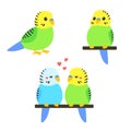 Cute cartoon budgie Royalty Free Stock Photo