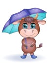 Cute cartoon bull with a blue umbrella and in boots with beautiful blue eyes with a bouquet of flowers. Autumn. Children\'s