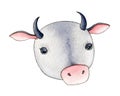 Cute cartoon bull or cow  watercolor illustration. Hand drawn funny zodiac symbol of 2021new year. Funny ox portrait element. Royalty Free Stock Photo