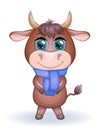 Cute cartoon bull with a scarf on his neck with beautiful blue eyes with a bouquet of flowers. Children`s illustration