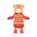 Cute cartoon bull in a warm sweater with patterns, felt boots and a bell. Symbol of the new year 2021. Baby calf Royalty Free Stock Photo