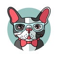 Cute cartoon bulldog in glasses Royalty Free Stock Photo