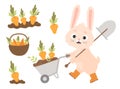 Cute cartoon bunny in rubber boots with garden wheelbarrow and shovel, harvesting. Carrots in garden bed and in wicker Royalty Free Stock Photo