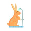 Cute cartoon bunny rubbing himself a foam sponge bath while standing in shower cabin colorful character, animal grooming Royalty Free Stock Photo