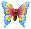 Cute cartoon butterfly