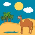 Cute cartoon camel dromedary in the desert funny illustration