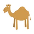 Cute cartoon camel vector illustration Royalty Free Stock Photo