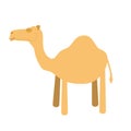 Cute cartoon camel vector illustration Royalty Free Stock Photo