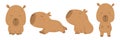 Cute cartoon capybara characters set