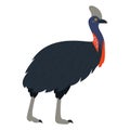 Cute, cartoon cassowary bird. Flat vector illustration