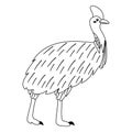 Cute, cartoon cassowary bird. Line art