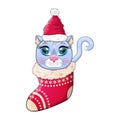 Cute cartoon cat in a Santa hat in a Christmas stocking. Winter 2023, Christmas and Chinese New Year. Royalty Free Stock Photo