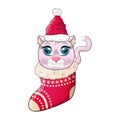 Cute cartoon cat in a Santa hat in a Christmas stocking. Winter 2023, Christmas and Chinese New Year. Royalty Free Stock Photo