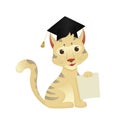 Cute cartoon cat sitting in graduate student hat. White cat with gray spots. Teenage character with big eyes holding a