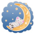 Cute cartoon cat sleeping in the moon in the night. Royalty Free Stock Photo