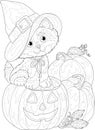 Cute cartoon cat in witch hat sitting with pumpkins with carved face sketch template. Spooky Halloween vector illustration in blac