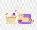 Cute cartoon cats boy and girl in love clip art