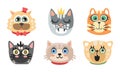 Cute Cartoon Cats and Dogs Muzzle Vector Set Royalty Free Stock Photo