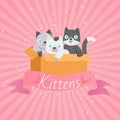Cute cartoon cats, funny playful kittens pet kitty vector illustration on pink retro sparkling background with ribbon.