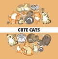 Cute cats vector poster of kittens pets playing or posing and funny looking