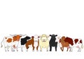 Cute cartoon cattle breed group Royalty Free Stock Photo