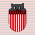 Cute cartoon character gray kitten in a pocket. Doodle character