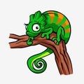 Cute cartoon character green chameleon lizard animal.Reptile in wildlife isolated in warm background. Vector