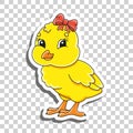 Cute cartoon character. Sticker with contour. Baby chicken. Colorful vector illustration. Isolated on transparent background.