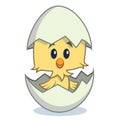 Cute cartoon chick hatching from egg Royalty Free Stock Photo