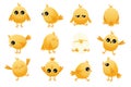 Cute cartoon chicken baby. Yellow farm poultry with beak and wings, simple happy animal characters with different Royalty Free Stock Photo