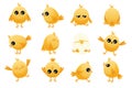 Cute cartoon chicken baby. Yellow farm poultry with beak and wings, simple happy animal characters with different emotions. Vector Royalty Free Stock Photo